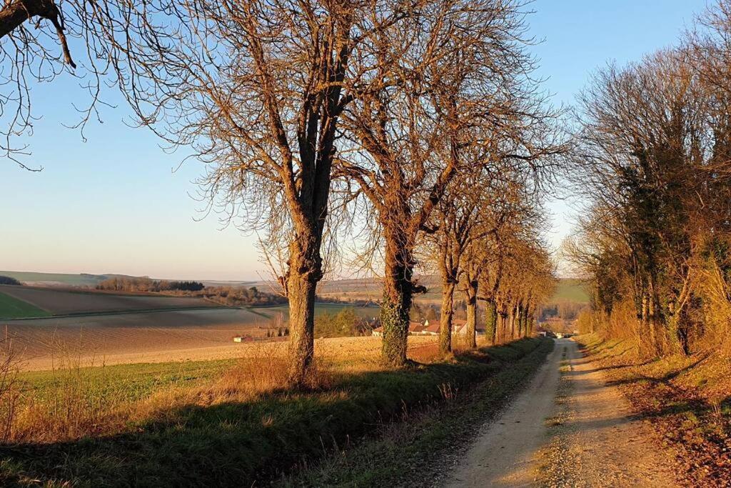 EstissacLe Bellevue A 1 H 30 De Paris Et 20 Km De Troyes别墅 外观 照片